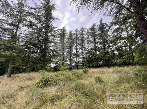 Cahors, Lot 46000