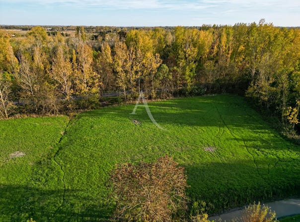 LE PERRIER, Pays de la Loire 85300