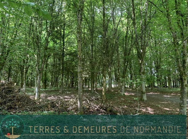Vire, Calvados 14500