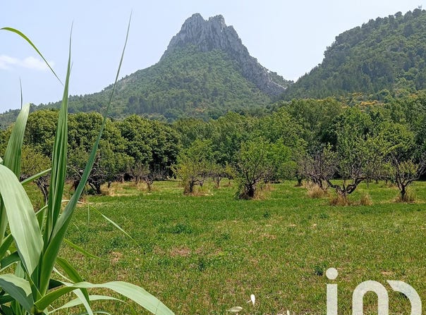 Buis-les-Baronnies, Auvergne-Rhône-Alpes 26170