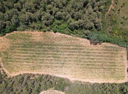 CREISSAN, Languedoc-Roussillon 34370