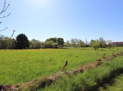 PAINBLANC, Bourgogne 21360