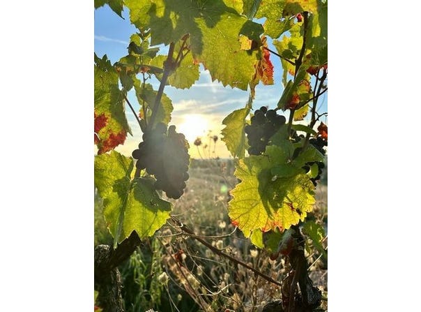 LANCIE, Rhône-Alpes 69220