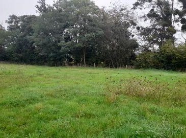 FERCE SUR SARTHE, Pays de la Loire 72430
