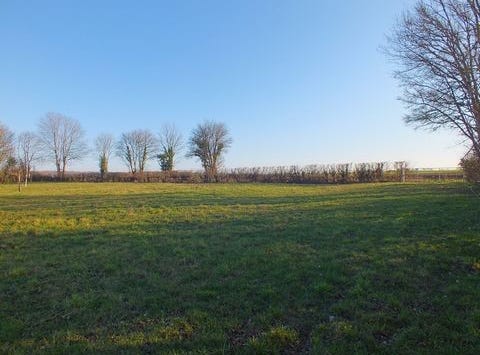 MUSIGNY, Bourgogne 21230