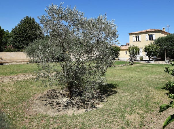 Cabannes, Provence-Alpes-Côte-d'Azur 13440