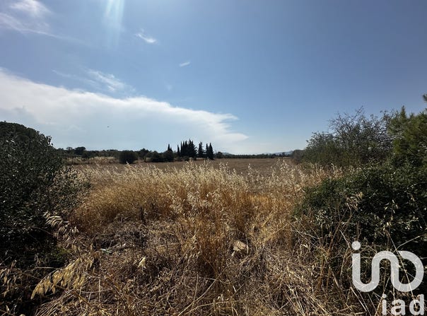 Rivesaltes, Occitanie 66600
