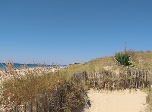 Le Bois-Plage-en-Ré, Nouvelle-Aquitaine 17580