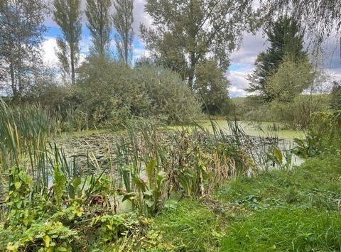 Mangiennes, Lorraine 55150