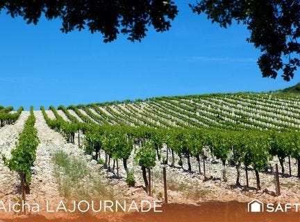 Tavel, Languedoc-Roussillon 30126