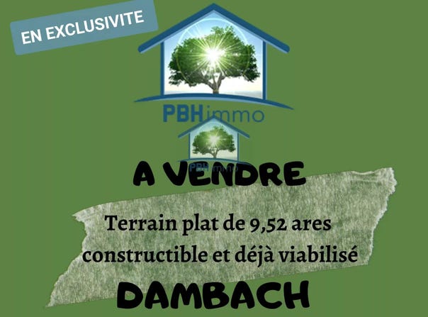 Dambach, Bas-Rhin 67110