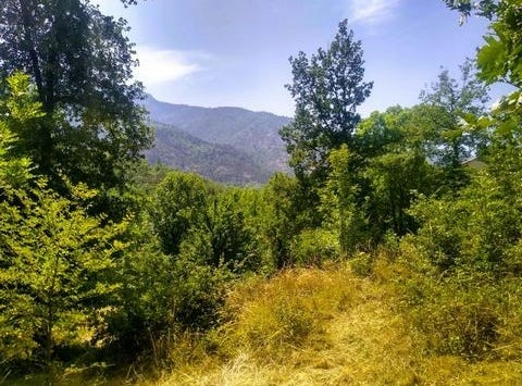 Clara Villerach, Languedoc-Roussillon 66500