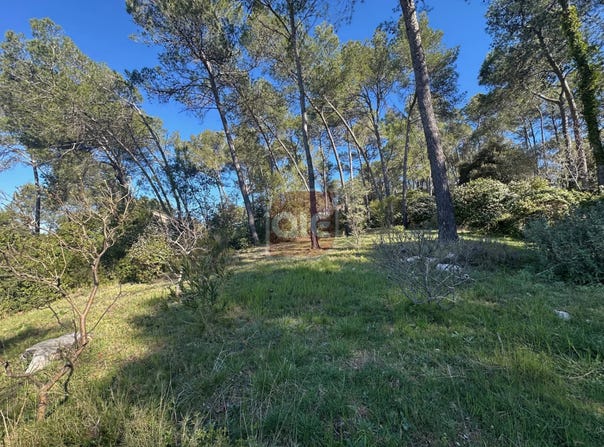Saint-Clément-de-Rivière, Hérault 34980