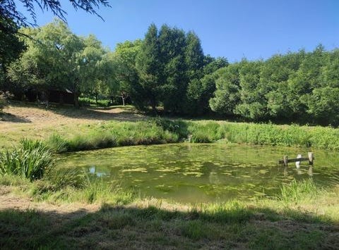 Sainte-Gemmes-Le-Robert, Pays de la Loire 53600