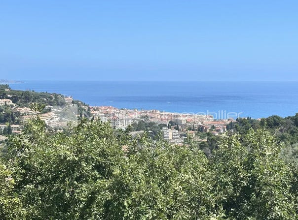 Menton, Alpes-Maritimes 06500