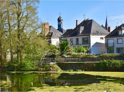 SULLY SUR LOIRE, Centre 45600