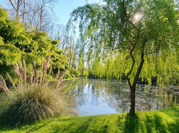 Rochefort-en-Yvelines, Île-de-France 78730