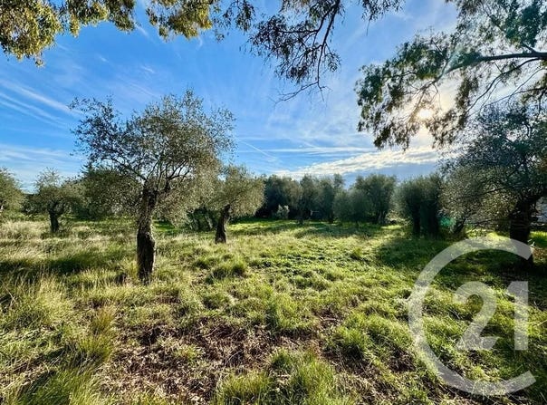 Opio, Alpes-Maritimes 06650