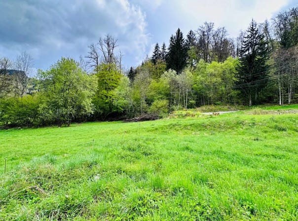 Mieussy, Haute-Savoie 74440