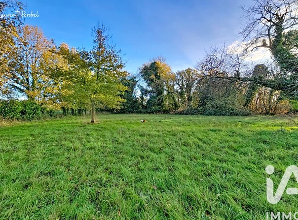 Allaire, Brittany 56350