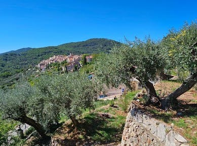 Claviers, Provence-Alpes-Côte d'Azur 83830
