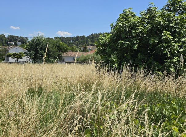 Alès, Occitanie 30100