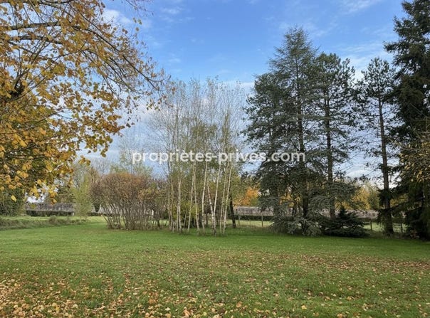 Arthel, Burgundy 58700