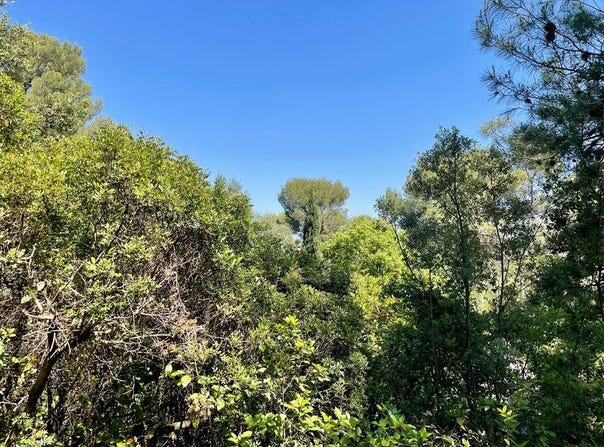 Castelnau-le-Lez, Languedoc-Roussillon 34170