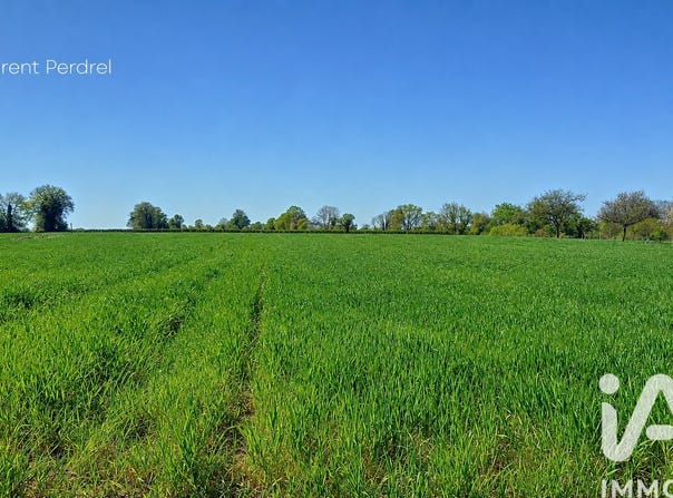 Allaire, Brittany 56350