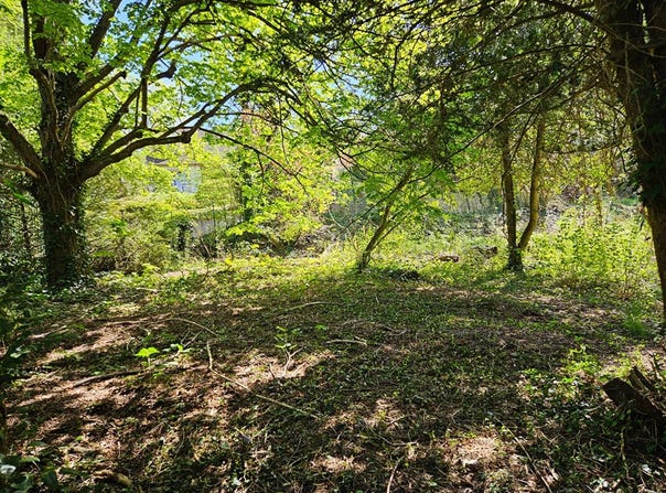 Mareil-sur-Mauldre, Yvelines 78124