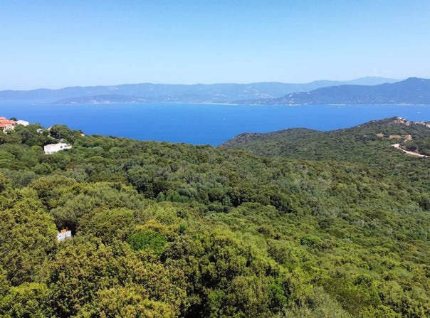 Belvédère-Campomoro, Corse-du-Sud 20110