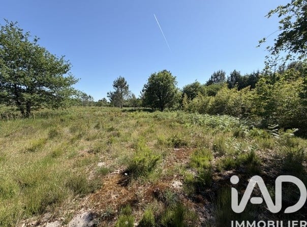 Gujan-Mestras, Nouvelle-Aquitaine 33470