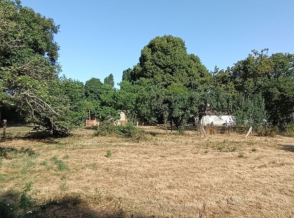 Jazeneuil, Nouvelle-Aquitaine 86600