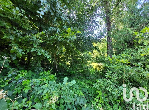 Soucht, Grand Est 57960