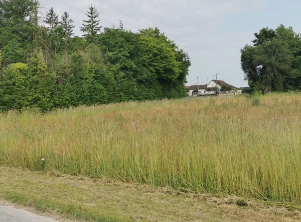 Sainte-Maure, Aube 10150