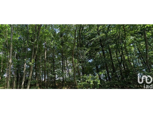 Soulvache, Pays de la Loire 44660