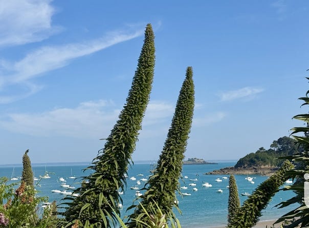 Cancale, Brittany 35260