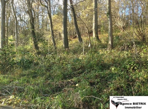 L'Isle-Adam, Val-d'Oise 95290