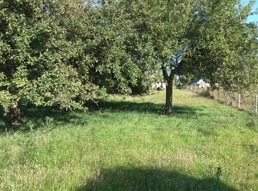 RAFFETOT, Haute-Normandie 76210