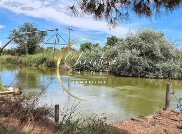 MARSILLARGUES, Languedoc-Roussillon 34590