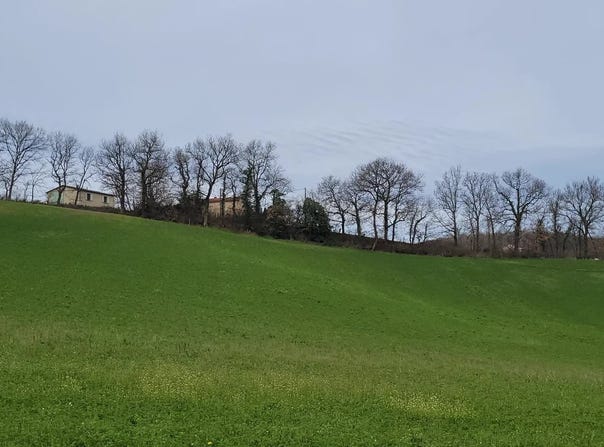 Vénès, Tarn 81440