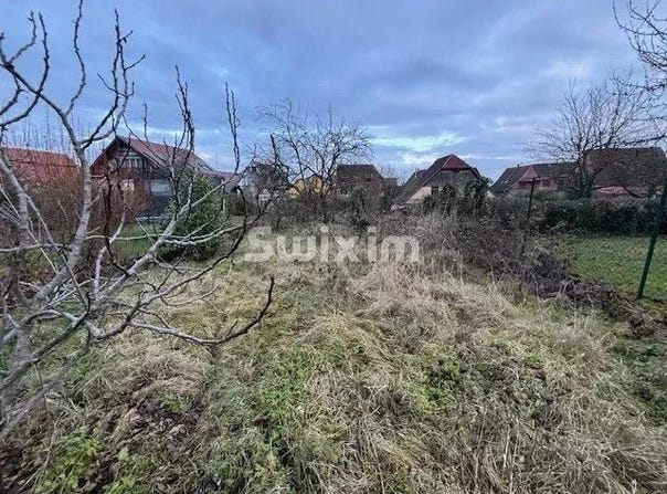 Kintzheim, Alsace 67600