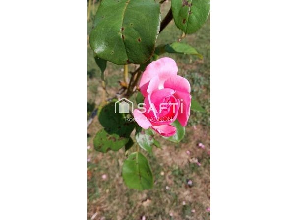 Faye-Sur-Ardin, Poitou-Charentes 79160