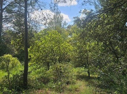 Laval-Pradel, Occitanie 30110