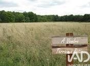 Bussac-Forêt, Nouvelle-Aquitaine 17210