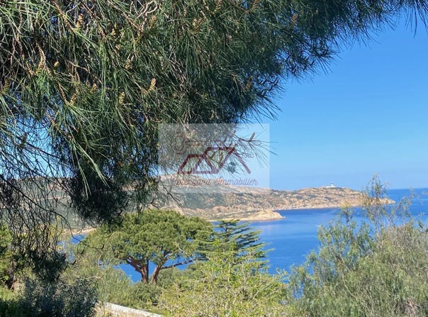 Calvi, Haute-Corse 20260