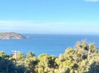 Calvi, Corse 20260