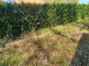 Egriselles-Le-Bocage, Bourgogne 89500