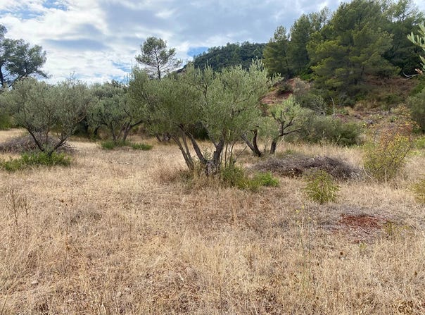Gonfaron, Var 83590