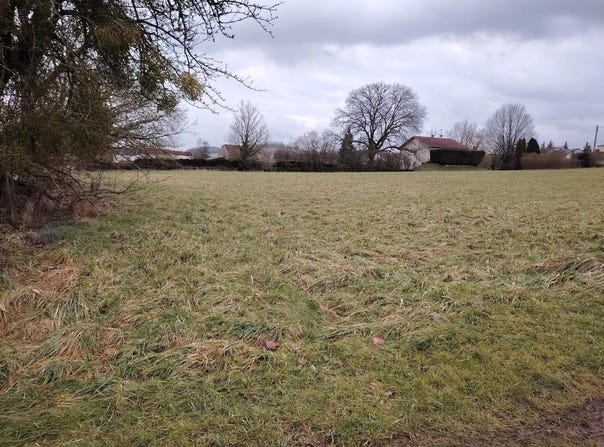 Bainville-aux-Saules, Vosges 88270